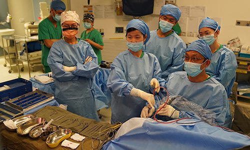 Endoscopic